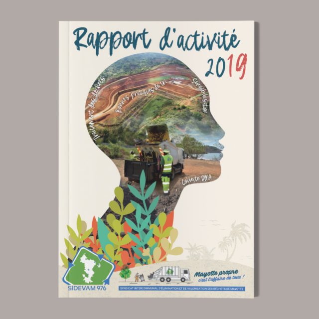 SIDEVAM 976 – Rapport Activité 2019